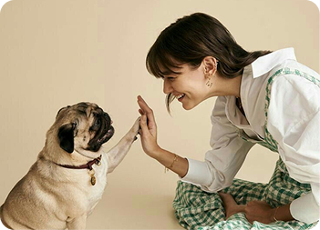 Rehome Your Pet